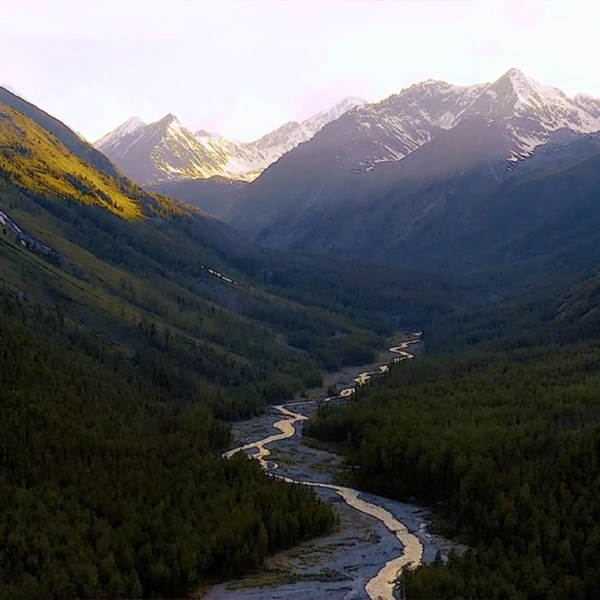 custom-website-design-1